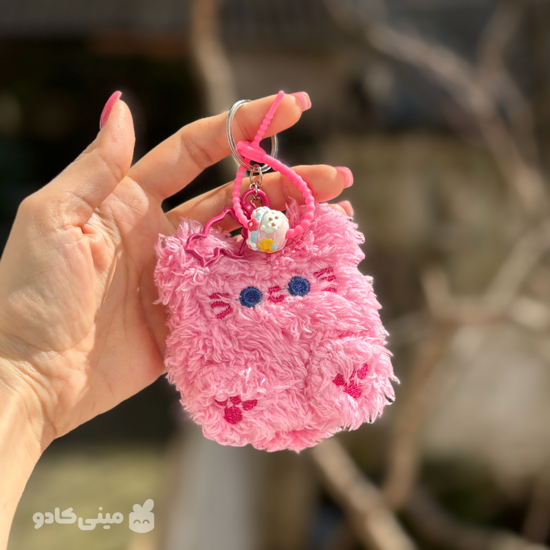چارم/جاکلیدی پیشی