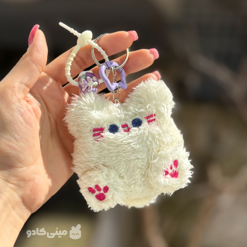 چارم/جاکلیدی پیشی