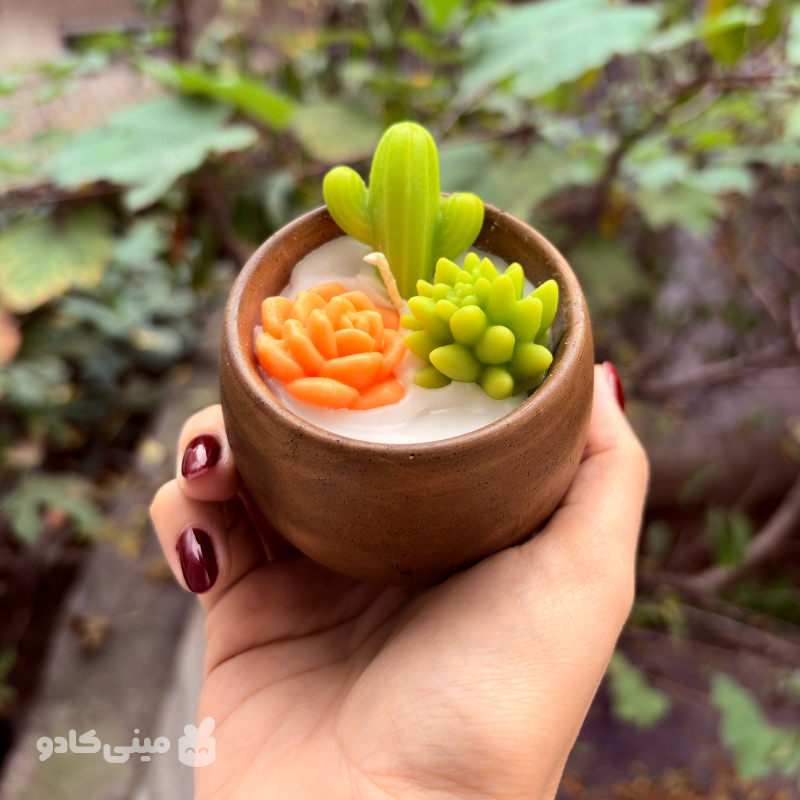 شمع کاکتوس